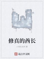 爷夫人又逃婚了全文阅读