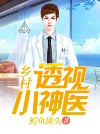 乡村透视小神医主角是赵铁阳