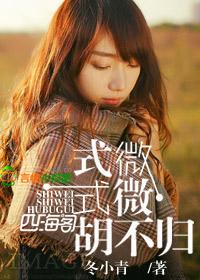 式微式微胡不归的修辞