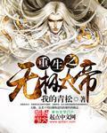 重生之无极大帝百科