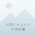 创世神重生在现代