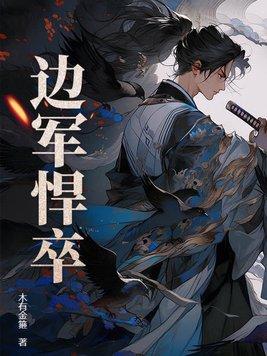 边军悍卒(快眼看书)