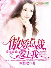 傲娇总裁盛宠妻免费阅读 高歌