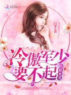 隐婚蜜爱:冷傲军少,要不起 隐婚蜜爱:冷傲军少,要不起